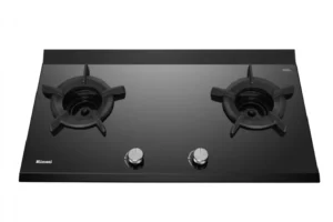 เตาฝังแบบใช้แก๊ส RB-2CGN